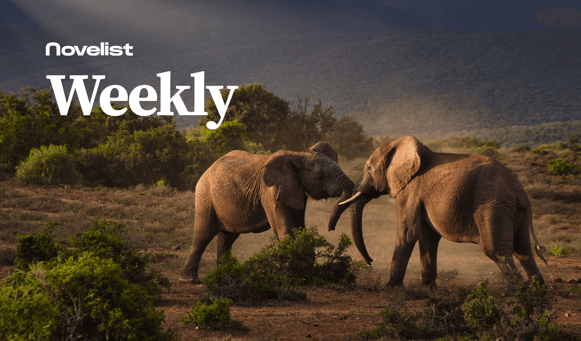  Clash of the elephants on global stage